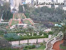 [P16] Gradinile suspendate din Haifa » foto by cryss27
 - 
<span class="allrVoted glyphicon glyphicon-heart hidden" id="av298871"></span>
<a class="m-l-10 hidden" id="sv298871" onclick="voting_Foto_DelVot(,298871,3433)" role="button">șterge vot <span class="glyphicon glyphicon-remove"></span></a>
<a id="v9298871" class=" c-red"  onclick="voting_Foto_SetVot(298871)" role="button"><span class="glyphicon glyphicon-heart-empty"></span> <b>LIKE</b> = Votează poza</a> <img class="hidden"  id="f298871W9" src="/imagini/loader.gif" border="0" /><span class="AjErrMes hidden" id="e298871ErM"></span>