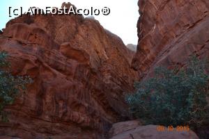 [P37] intrarea in canion, pazita de maslin » foto by andreea72
 - 
<span class="allrVoted glyphicon glyphicon-heart hidden" id="av745445"></span>
<a class="m-l-10 hidden" id="sv745445" onclick="voting_Foto_DelVot(,745445,3434)" role="button">șterge vot <span class="glyphicon glyphicon-remove"></span></a>
<a id="v9745445" class=" c-red"  onclick="voting_Foto_SetVot(745445)" role="button"><span class="glyphicon glyphicon-heart-empty"></span> <b>LIKE</b> = Votează poza</a> <img class="hidden"  id="f745445W9" src="/imagini/loader.gif" border="0" /><span class="AjErrMes hidden" id="e745445ErM"></span>