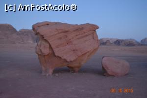 [P85] puiul decapitat ,,ultimul obiectiv in desert » foto by andreea72
 - 
<span class="allrVoted glyphicon glyphicon-heart hidden" id="av745493"></span>
<a class="m-l-10 hidden" id="sv745493" onclick="voting_Foto_DelVot(,745493,3434)" role="button">șterge vot <span class="glyphicon glyphicon-remove"></span></a>
<a id="v9745493" class=" c-red"  onclick="voting_Foto_SetVot(745493)" role="button"><span class="glyphicon glyphicon-heart-empty"></span> <b>LIKE</b> = Votează poza</a> <img class="hidden"  id="f745493W9" src="/imagini/loader.gif" border="0" /><span class="AjErrMes hidden" id="e745493ErM"></span>