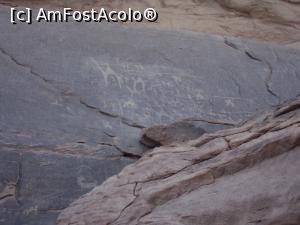 [P22] 22. Caravană de cămile într-un graffiti nabateean.  » foto by doinafil
 - 
<span class="allrVoted glyphicon glyphicon-heart hidden" id="av1033277"></span>
<a class="m-l-10 hidden" id="sv1033277" onclick="voting_Foto_DelVot(,1033277,3434)" role="button">șterge vot <span class="glyphicon glyphicon-remove"></span></a>
<a id="v91033277" class=" c-red"  onclick="voting_Foto_SetVot(1033277)" role="button"><span class="glyphicon glyphicon-heart-empty"></span> <b>LIKE</b> = Votează poza</a> <img class="hidden"  id="f1033277W9" src="/imagini/loader.gif" border="0" /><span class="AjErrMes hidden" id="e1033277ErM"></span>