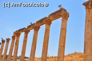 [P12] traversele care unesc la partea superioara coloanele de pe 'cardo' (strada principala) si care au supravietuit puternicelor cutremure » foto by alunelu69
 - 
<span class="allrVoted glyphicon glyphicon-heart hidden" id="av959684"></span>
<a class="m-l-10 hidden" id="sv959684" onclick="voting_Foto_DelVot(,959684,3439)" role="button">șterge vot <span class="glyphicon glyphicon-remove"></span></a>
<a id="v9959684" class=" c-red"  onclick="voting_Foto_SetVot(959684)" role="button"><span class="glyphicon glyphicon-heart-empty"></span> <b>LIKE</b> = Votează poza</a> <img class="hidden"  id="f959684W9" src="/imagini/loader.gif" border="0" /><span class="AjErrMes hidden" id="e959684ErM"></span>