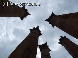 [P31] Jerash: coloane corintice de la Templul lui Artemis » foto by irinad
 - 
<span class="allrVoted glyphicon glyphicon-heart hidden" id="av1066629"></span>
<a class="m-l-10 hidden" id="sv1066629" onclick="voting_Foto_DelVot(,1066629,3440)" role="button">șterge vot <span class="glyphicon glyphicon-remove"></span></a>
<a id="v91066629" class=" c-red"  onclick="voting_Foto_SetVot(1066629)" role="button"><span class="glyphicon glyphicon-heart-empty"></span> <b>LIKE</b> = Votează poza</a> <img class="hidden"  id="f1066629W9" src="/imagini/loader.gif" border="0" /><span class="AjErrMes hidden" id="e1066629ErM"></span>
