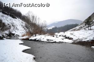 [P21]  -- <small>// FĂRĂ DESCRIERE</small> » foto by AZE
 - 
<span class="allrVoted glyphicon glyphicon-heart hidden" id="av952746"></span>
<a class="m-l-10 hidden" id="sv952746" onclick="voting_Foto_DelVot(,952746,3441)" role="button">șterge vot <span class="glyphicon glyphicon-remove"></span></a>
<a id="v9952746" class=" c-red"  onclick="voting_Foto_SetVot(952746)" role="button"><span class="glyphicon glyphicon-heart-empty"></span> <b>LIKE</b> = Votează poza</a> <img class="hidden"  id="f952746W9" src="/imagini/loader.gif" border="0" /><span class="AjErrMes hidden" id="e952746ErM"></span>