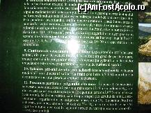 [P04]  -- <small>// FĂRĂ DESCRIERE</small> » foto by PPP974273
 - 
<span class="allrVoted glyphicon glyphicon-heart hidden" id="av448261"></span>
<a class="m-l-10 hidden" id="sv448261" onclick="voting_Foto_DelVot(,448261,3441)" role="button">șterge vot <span class="glyphicon glyphicon-remove"></span></a>
<a id="v9448261" class=" c-red"  onclick="voting_Foto_SetVot(448261)" role="button"><span class="glyphicon glyphicon-heart-empty"></span> <b>LIKE</b> = Votează poza</a> <img class="hidden"  id="f448261W9" src="/imagini/loader.gif" border="0" /><span class="AjErrMes hidden" id="e448261ErM"></span>