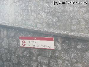 [P20]  -- <small>// FĂRĂ DESCRIERE</small> » foto by bica adriana
 - 
<span class="allrVoted glyphicon glyphicon-heart hidden" id="av572391"></span>
<a class="m-l-10 hidden" id="sv572391" onclick="voting_Foto_DelVot(,572391,3448)" role="button">șterge vot <span class="glyphicon glyphicon-remove"></span></a>
<a id="v9572391" class=" c-red"  onclick="voting_Foto_SetVot(572391)" role="button"><span class="glyphicon glyphicon-heart-empty"></span> <b>LIKE</b> = Votează poza</a> <img class="hidden"  id="f572391W9" src="/imagini/loader.gif" border="0" /><span class="AjErrMes hidden" id="e572391ErM"></span>