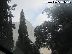 [P38]  -- <small>// FĂRĂ DESCRIERE</small> » foto by bica adriana
 - 
<span class="allrVoted glyphicon glyphicon-heart hidden" id="av572422"></span>
<a class="m-l-10 hidden" id="sv572422" onclick="voting_Foto_DelVot(,572422,3448)" role="button">șterge vot <span class="glyphicon glyphicon-remove"></span></a>
<a id="v9572422" class=" c-red"  onclick="voting_Foto_SetVot(572422)" role="button"><span class="glyphicon glyphicon-heart-empty"></span> <b>LIKE</b> = Votează poza</a> <img class="hidden"  id="f572422W9" src="/imagini/loader.gif" border="0" /><span class="AjErrMes hidden" id="e572422ErM"></span>