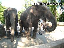 [P8x] Gradina zoologica din Hamburg, de fapt Parcul Tierpark, a fost prima gradina zoologica fara custi - si de multe ori si fara garduri - pe care am vazut-o » foto by lizuk
 - 
<span class="allrVoted glyphicon glyphicon-heart hidden" id="av23975"></span>
<a class="m-l-10 hidden" id="sv23975" onclick="voting_Foto_DelVot(,23975,3449)" role="button">șterge vot <span class="glyphicon glyphicon-remove"></span></a>
<a id="v923975" class=" c-red"  onclick="voting_Foto_SetVot(23975)" role="button"><span class="glyphicon glyphicon-heart-empty"></span> <b>LIKE</b> = Votează poza</a> <img class="hidden"  id="f23975W9" src="/imagini/loader.gif" border="0" /><span class="AjErrMes hidden" id="e23975ErM"></span>