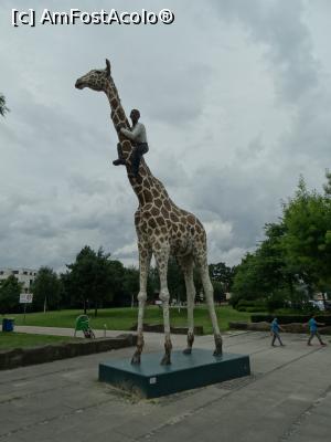 [P24] In zona gradinii zoologice » foto by Adrian Branescu
 - 
<span class="allrVoted glyphicon glyphicon-heart hidden" id="av889091"></span>
<a class="m-l-10 hidden" id="sv889091" onclick="voting_Foto_DelVot(,889091,3449)" role="button">șterge vot <span class="glyphicon glyphicon-remove"></span></a>
<a id="v9889091" class=" c-red"  onclick="voting_Foto_SetVot(889091)" role="button"><span class="glyphicon glyphicon-heart-empty"></span> <b>LIKE</b> = Votează poza</a> <img class="hidden"  id="f889091W9" src="/imagini/loader.gif" border="0" /><span class="AjErrMes hidden" id="e889091ErM"></span>