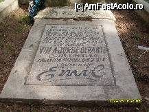 [P10] In acest loc este ridicat monumentul sublocotenentului Emil Rebreanu, fratele scriitorului Liviu Rebreanu, care, la varsta de 26 de ani (14 mai 1917), refuzand sa lupte impotriva romanilor, a fost executat, prin spanzurare, de autoritatile austro-ungare. » foto by cri_zina
 - 
<span class="allrVoted glyphicon glyphicon-heart hidden" id="av71415"></span>
<a class="m-l-10 hidden" id="sv71415" onclick="voting_Foto_DelVot(,71415,3465)" role="button">șterge vot <span class="glyphicon glyphicon-remove"></span></a>
<a id="v971415" class=" c-red"  onclick="voting_Foto_SetVot(71415)" role="button"><span class="glyphicon glyphicon-heart-empty"></span> <b>LIKE</b> = Votează poza</a> <img class="hidden"  id="f71415W9" src="/imagini/loader.gif" border="0" /><span class="AjErrMes hidden" id="e71415ErM"></span>