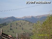 [P05] Peisaje...cu ultima zăpadă pe cele mai inalte creste (din pacate, nu m-am priceput la setarea datei aparatului foto dar garantat e de pe 1 mai 2010 ;P) » foto by cri_zina
 - 
<span class="allrVoted glyphicon glyphicon-heart hidden" id="av71299"></span>
<a class="m-l-10 hidden" id="sv71299" onclick="voting_Foto_DelVot(,71299,3465)" role="button">șterge vot <span class="glyphicon glyphicon-remove"></span></a>
<a id="v971299" class=" c-red"  onclick="voting_Foto_SetVot(71299)" role="button"><span class="glyphicon glyphicon-heart-empty"></span> <b>LIKE</b> = Votează poza</a> <img class="hidden"  id="f71299W9" src="/imagini/loader.gif" border="0" /><span class="AjErrMes hidden" id="e71299ErM"></span>