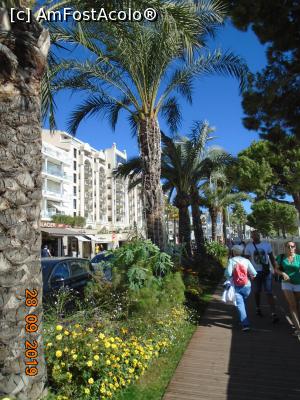 [P10] La pas pe Promenade de la Croisette » foto by Mitica49
 - 
<span class="allrVoted glyphicon glyphicon-heart hidden" id="av1150105"></span>
<a class="m-l-10 hidden" id="sv1150105" onclick="voting_Foto_DelVot(,1150105,3467)" role="button">șterge vot <span class="glyphicon glyphicon-remove"></span></a>
<a id="v91150105" class=" c-red"  onclick="voting_Foto_SetVot(1150105)" role="button"><span class="glyphicon glyphicon-heart-empty"></span> <b>LIKE</b> = Votează poza</a> <img class="hidden"  id="f1150105W9" src="/imagini/loader.gif" border="0" /><span class="AjErrMes hidden" id="e1150105ErM"></span>