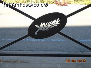 [P13] Palme d' Or » foto by Mitica49
 - 
<span class="allrVoted glyphicon glyphicon-heart hidden" id="av1150110"></span>
<a class="m-l-10 hidden" id="sv1150110" onclick="voting_Foto_DelVot(,1150110,3467)" role="button">șterge vot <span class="glyphicon glyphicon-remove"></span></a>
<a id="v91150110" class=" c-red"  onclick="voting_Foto_SetVot(1150110)" role="button"><span class="glyphicon glyphicon-heart-empty"></span> <b>LIKE</b> = Votează poza</a> <img class="hidden"  id="f1150110W9" src="/imagini/loader.gif" border="0" /><span class="AjErrMes hidden" id="e1150110ErM"></span>