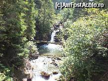 [P02] Cascada » foto by dalumian
 - 
<span class="allrVoted glyphicon glyphicon-heart hidden" id="av463666"></span>
<a class="m-l-10 hidden" id="sv463666" onclick="voting_Foto_DelVot(,463666,3478)" role="button">șterge vot <span class="glyphicon glyphicon-remove"></span></a>
<a id="v9463666" class=" c-red"  onclick="voting_Foto_SetVot(463666)" role="button"><span class="glyphicon glyphicon-heart-empty"></span> <b>LIKE</b> = Votează poza</a> <img class="hidden"  id="f463666W9" src="/imagini/loader.gif" border="0" /><span class="AjErrMes hidden" id="e463666ErM"></span>