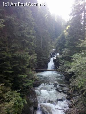 [P04] Cascada Sucu - la cca 7 km de pensiune, pentru cei dornici de drumetii (se poate ajunge si cu masina)  » foto by veteran5
 - 
<span class="allrVoted glyphicon glyphicon-heart hidden" id="av769186"></span>
<a class="m-l-10 hidden" id="sv769186" onclick="voting_Foto_DelVot(,769186,3478)" role="button">șterge vot <span class="glyphicon glyphicon-remove"></span></a>
<a id="v9769186" class=" c-red"  onclick="voting_Foto_SetVot(769186)" role="button"><span class="glyphicon glyphicon-heart-empty"></span> <b>LIKE</b> = Votează poza</a> <img class="hidden"  id="f769186W9" src="/imagini/loader.gif" border="0" /><span class="AjErrMes hidden" id="e769186ErM"></span>