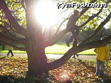 [P01] Parc Roayal: copii la joaca. La doar cateva sute de metri de centru, dar si de viaductul G. D. Charlotte. » foto by Dragoș_MD
 - 
<span class="allrVoted glyphicon glyphicon-heart hidden" id="av27387"></span>
<a class="m-l-10 hidden" id="sv27387" onclick="voting_Foto_DelVot(,27387,3489)" role="button">șterge vot <span class="glyphicon glyphicon-remove"></span></a>
<a id="v927387" class=" c-red"  onclick="voting_Foto_SetVot(27387)" role="button"><span class="glyphicon glyphicon-heart-empty"></span> <b>LIKE</b> = Votează poza</a> <img class="hidden"  id="f27387W9" src="/imagini/loader.gif" border="0" /><span class="AjErrMes hidden" id="e27387ErM"></span>