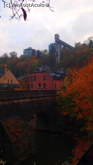 [P20] Ascensorul panoramic Pfaffenthal - imagini din orașul de jos » foto by Dragoș_MD
 - 
<span class="allrVoted glyphicon glyphicon-heart hidden" id="av1026125"></span>
<a class="m-l-10 hidden" id="sv1026125" onclick="voting_Foto_DelVot(,1026125,3489)" role="button">șterge vot <span class="glyphicon glyphicon-remove"></span></a>
<a id="v91026125" class=" c-red"  onclick="voting_Foto_SetVot(1026125)" role="button"><span class="glyphicon glyphicon-heart-empty"></span> <b>LIKE</b> = Votează poza</a> <img class="hidden"  id="f1026125W9" src="/imagini/loader.gif" border="0" /><span class="AjErrMes hidden" id="e1026125ErM"></span>