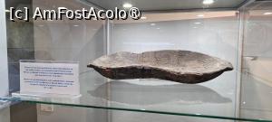 [P14] Copaie de lemn din anii 500 după Hristos. » foto by tata123 🔱
 - 
<span class="allrVoted glyphicon glyphicon-heart hidden" id="av1523994"></span>
<a class="m-l-10 hidden" id="sv1523994" onclick="voting_Foto_DelVot(,1523994,3496)" role="button">șterge vot <span class="glyphicon glyphicon-remove"></span></a>
<a id="v91523994" class=" c-red"  onclick="voting_Foto_SetVot(1523994)" role="button"><span class="glyphicon glyphicon-heart-empty"></span> <b>LIKE</b> = Votează poza</a> <img class="hidden"  id="f1523994W9" src="/imagini/loader.gif" border="0" /><span class="AjErrMes hidden" id="e1523994ErM"></span>