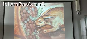 [P21] Scena cu iepurele - peretele vestic. » foto by tata123 🔱
 - 
<span class="allrVoted glyphicon glyphicon-heart hidden" id="av1524001"></span>
<a class="m-l-10 hidden" id="sv1524001" onclick="voting_Foto_DelVot(,1524001,3496)" role="button">șterge vot <span class="glyphicon glyphicon-remove"></span></a>
<a id="v91524001" class=" c-red"  onclick="voting_Foto_SetVot(1524001)" role="button"><span class="glyphicon glyphicon-heart-empty"></span> <b>LIKE</b> = Votează poza</a> <img class="hidden"  id="f1524001W9" src="/imagini/loader.gif" border="0" /><span class="AjErrMes hidden" id="e1524001ErM"></span>