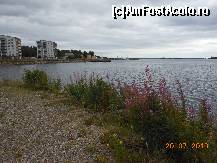 [P25] Oulu - Ţărmul Golfului Botnic.  » foto by iulianic
 - 
<span class="allrVoted glyphicon glyphicon-heart hidden" id="av487977"></span>
<a class="m-l-10 hidden" id="sv487977" onclick="voting_Foto_DelVot(,487977,3498)" role="button">șterge vot <span class="glyphicon glyphicon-remove"></span></a>
<a id="v9487977" class=" c-red"  onclick="voting_Foto_SetVot(487977)" role="button"><span class="glyphicon glyphicon-heart-empty"></span> <b>LIKE</b> = Votează poza</a> <img class="hidden"  id="f487977W9" src="/imagini/loader.gif" border="0" /><span class="AjErrMes hidden" id="e487977ErM"></span>