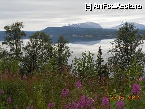 [P48] De-a lungul fiordului Balsfjord, spre Nordkjosbotn.  » foto by iulianic
 - 
<span class="allrVoted glyphicon glyphicon-heart hidden" id="av486751"></span>
<a class="m-l-10 hidden" id="sv486751" onclick="voting_Foto_DelVot(,486751,3499)" role="button">șterge vot <span class="glyphicon glyphicon-remove"></span></a>
<a id="v9486751" class=" c-red"  onclick="voting_Foto_SetVot(486751)" role="button"><span class="glyphicon glyphicon-heart-empty"></span> <b>LIKE</b> = Votează poza</a> <img class="hidden"  id="f486751W9" src="/imagini/loader.gif" border="0" /><span class="AjErrMes hidden" id="e486751ErM"></span>