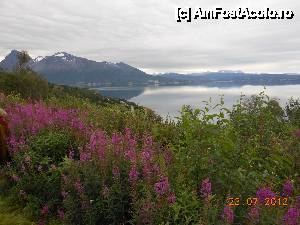 [P49] De-a lungul fiordului Balsfjord, spre Nordkjosbotn.  » foto by iulianic
 - 
<span class="allrVoted glyphicon glyphicon-heart hidden" id="av486752"></span>
<a class="m-l-10 hidden" id="sv486752" onclick="voting_Foto_DelVot(,486752,3499)" role="button">șterge vot <span class="glyphicon glyphicon-remove"></span></a>
<a id="v9486752" class=" c-red"  onclick="voting_Foto_SetVot(486752)" role="button"><span class="glyphicon glyphicon-heart-empty"></span> <b>LIKE</b> = Votează poza</a> <img class="hidden"  id="f486752W9" src="/imagini/loader.gif" border="0" /><span class="AjErrMes hidden" id="e486752ErM"></span>