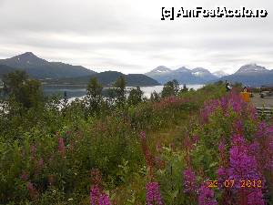 [P50] De-a lungul fiordului Balsfjord, spre Nordkjosbotn.  » foto by iulianic
 - 
<span class="allrVoted glyphicon glyphicon-heart hidden" id="av486753"></span>
<a class="m-l-10 hidden" id="sv486753" onclick="voting_Foto_DelVot(,486753,3499)" role="button">șterge vot <span class="glyphicon glyphicon-remove"></span></a>
<a id="v9486753" class=" c-red"  onclick="voting_Foto_SetVot(486753)" role="button"><span class="glyphicon glyphicon-heart-empty"></span> <b>LIKE</b> = Votează poza</a> <img class="hidden"  id="f486753W9" src="/imagini/loader.gif" border="0" /><span class="AjErrMes hidden" id="e486753ErM"></span>