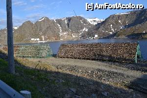 [P20] Ocupația de bază a norvegienilor » foto by sigcristina
 - 
<span class="allrVoted glyphicon glyphicon-heart hidden" id="av433403"></span>
<a class="m-l-10 hidden" id="sv433403" onclick="voting_Foto_DelVot(,433403,3499)" role="button">șterge vot <span class="glyphicon glyphicon-remove"></span></a>
<a id="v9433403" class=" c-red"  onclick="voting_Foto_SetVot(433403)" role="button"><span class="glyphicon glyphicon-heart-empty"></span> <b>LIKE</b> = Votează poza</a> <img class="hidden"  id="f433403W9" src="/imagini/loader.gif" border="0" /><span class="AjErrMes hidden" id="e433403ErM"></span>