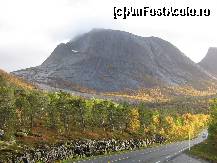 [P14] cam asa arata vegetatia in Laponia norvegiana » foto by Gothyk
 - 
<span class="allrVoted glyphicon glyphicon-heart hidden" id="av76351"></span>
<a class="m-l-10 hidden" id="sv76351" onclick="voting_Foto_DelVot(,76351,3499)" role="button">șterge vot <span class="glyphicon glyphicon-remove"></span></a>
<a id="v976351" class=" c-red"  onclick="voting_Foto_SetVot(76351)" role="button"><span class="glyphicon glyphicon-heart-empty"></span> <b>LIKE</b> = Votează poza</a> <img class="hidden"  id="f76351W9" src="/imagini/loader.gif" border="0" /><span class="AjErrMes hidden" id="e76351ErM"></span>