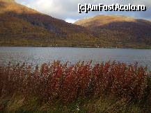 [P03] primul fiord » foto by Gothyk
 - 
<span class="allrVoted glyphicon glyphicon-heart hidden" id="av76340"></span>
<a class="m-l-10 hidden" id="sv76340" onclick="voting_Foto_DelVot(,76340,3499)" role="button">șterge vot <span class="glyphicon glyphicon-remove"></span></a>
<a id="v976340" class=" c-red"  onclick="voting_Foto_SetVot(76340)" role="button"><span class="glyphicon glyphicon-heart-empty"></span> <b>LIKE</b> = Votează poza</a> <img class="hidden"  id="f76340W9" src="/imagini/loader.gif" border="0" /><span class="AjErrMes hidden" id="e76340ErM"></span>
