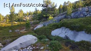 [P21] Muzeul Alta » foto by elenaadina
 - 
<span class="allrVoted glyphicon glyphicon-heart hidden" id="av1512718"></span>
<a class="m-l-10 hidden" id="sv1512718" onclick="voting_Foto_DelVot(,1512718,3499)" role="button">șterge vot <span class="glyphicon glyphicon-remove"></span></a>
<a id="v91512718" class=" c-red"  onclick="voting_Foto_SetVot(1512718)" role="button"><span class="glyphicon glyphicon-heart-empty"></span> <b>LIKE</b> = Votează poza</a> <img class="hidden"  id="f1512718W9" src="/imagini/loader.gif" border="0" /><span class="AjErrMes hidden" id="e1512718ErM"></span>