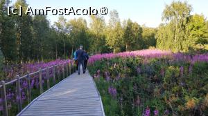 [P40]  -- <small>// FĂRĂ DESCRIERE</small> » foto by elenaadina
 - 
<span class="allrVoted glyphicon glyphicon-heart hidden" id="av1512737"></span>
<a class="m-l-10 hidden" id="sv1512737" onclick="voting_Foto_DelVot(,1512737,3499)" role="button">șterge vot <span class="glyphicon glyphicon-remove"></span></a>
<a id="v91512737" class=" c-red"  onclick="voting_Foto_SetVot(1512737)" role="button"><span class="glyphicon glyphicon-heart-empty"></span> <b>LIKE</b> = Votează poza</a> <img class="hidden"  id="f1512737W9" src="/imagini/loader.gif" border="0" /><span class="AjErrMes hidden" id="e1512737ErM"></span>