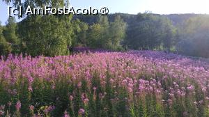 [P41]  -- <small>// FĂRĂ DESCRIERE</small> » foto by elenaadina
 - 
<span class="allrVoted glyphicon glyphicon-heart hidden" id="av1512738"></span>
<a class="m-l-10 hidden" id="sv1512738" onclick="voting_Foto_DelVot(,1512738,3499)" role="button">șterge vot <span class="glyphicon glyphicon-remove"></span></a>
<a id="v91512738" class=" c-red"  onclick="voting_Foto_SetVot(1512738)" role="button"><span class="glyphicon glyphicon-heart-empty"></span> <b>LIKE</b> = Votează poza</a> <img class="hidden"  id="f1512738W9" src="/imagini/loader.gif" border="0" /><span class="AjErrMes hidden" id="e1512738ErM"></span>