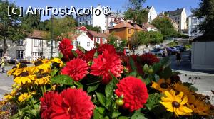 [P39]  -- <small>// FĂRĂ DESCRIERE</small> » foto by elenaadina
 - 
<span class="allrVoted glyphicon glyphicon-heart hidden" id="av1513112"></span>
<a class="m-l-10 hidden" id="sv1513112" onclick="voting_Foto_DelVot(,1513112,3499)" role="button">șterge vot <span class="glyphicon glyphicon-remove"></span></a>
<a id="v91513112" class=" c-red"  onclick="voting_Foto_SetVot(1513112)" role="button"><span class="glyphicon glyphicon-heart-empty"></span> <b>LIKE</b> = Votează poza</a> <img class="hidden"  id="f1513112W9" src="/imagini/loader.gif" border="0" /><span class="AjErrMes hidden" id="e1513112ErM"></span>