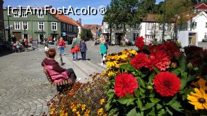 [P40]  -- <small>// FĂRĂ DESCRIERE</small> » foto by elenaadina
 - 
<span class="allrVoted glyphicon glyphicon-heart hidden" id="av1513113"></span>
<a class="m-l-10 hidden" id="sv1513113" onclick="voting_Foto_DelVot(,1513113,3499)" role="button">șterge vot <span class="glyphicon glyphicon-remove"></span></a>
<a id="v91513113" class=" c-red"  onclick="voting_Foto_SetVot(1513113)" role="button"><span class="glyphicon glyphicon-heart-empty"></span> <b>LIKE</b> = Votează poza</a> <img class="hidden"  id="f1513113W9" src="/imagini/loader.gif" border="0" /><span class="AjErrMes hidden" id="e1513113ErM"></span>