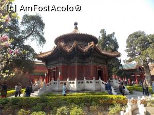 [P14] Beijing, Orașul Interzis, Grădina Imperială » foto by mprofeanu
 - 
<span class="allrVoted glyphicon glyphicon-heart hidden" id="av736624"></span>
<a class="m-l-10 hidden" id="sv736624" onclick="voting_Foto_DelVot(,736624,3501)" role="button">șterge vot <span class="glyphicon glyphicon-remove"></span></a>
<a id="v9736624" class=" c-red"  onclick="voting_Foto_SetVot(736624)" role="button"><span class="glyphicon glyphicon-heart-empty"></span> <b>LIKE</b> = Votează poza</a> <img class="hidden"  id="f736624W9" src="/imagini/loader.gif" border="0" /><span class="AjErrMes hidden" id="e736624ErM"></span>
