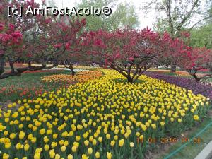 [P28] Beijing, Grădina Botanică, minune de culori » foto by mprofeanu
 - 
<span class="allrVoted glyphicon glyphicon-heart hidden" id="av736638"></span>
<a class="m-l-10 hidden" id="sv736638" onclick="voting_Foto_DelVot(,736638,3501)" role="button">șterge vot <span class="glyphicon glyphicon-remove"></span></a>
<a id="v9736638" class=" c-red"  onclick="voting_Foto_SetVot(736638)" role="button"><span class="glyphicon glyphicon-heart-empty"></span> <b>LIKE</b> = Votează poza</a> <img class="hidden"  id="f736638W9" src="/imagini/loader.gif" border="0" /><span class="AjErrMes hidden" id="e736638ErM"></span>