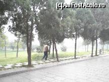 [P03] prin padure spre dagobe » foto by grecudoina
 - 
<span class="allrVoted glyphicon glyphicon-heart hidden" id="av309139"></span>
<a class="m-l-10 hidden" id="sv309139" onclick="voting_Foto_DelVot(,309139,3501)" role="button">șterge vot <span class="glyphicon glyphicon-remove"></span></a>
<a id="v9309139" class=" c-red"  onclick="voting_Foto_SetVot(309139)" role="button"><span class="glyphicon glyphicon-heart-empty"></span> <b>LIKE</b> = Votează poza</a> <img class="hidden"  id="f309139W9" src="/imagini/loader.gif" border="0" /><span class="AjErrMes hidden" id="e309139ErM"></span>