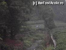 [P31] culegatori de ceai verde » foto by grecudoina
 - 
<span class="allrVoted glyphicon glyphicon-heart hidden" id="av309420"></span>
<a class="m-l-10 hidden" id="sv309420" onclick="voting_Foto_DelVot(,309420,3501)" role="button">șterge vot <span class="glyphicon glyphicon-remove"></span></a>
<a id="v9309420" class=" c-red"  onclick="voting_Foto_SetVot(309420)" role="button"><span class="glyphicon glyphicon-heart-empty"></span> <b>LIKE</b> = Votează poza</a> <img class="hidden"  id="f309420W9" src="/imagini/loader.gif" border="0" /><span class="AjErrMes hidden" id="e309420ErM"></span>