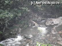 [P34] padurea complexului budist de temple » foto by grecudoina
 - 
<span class="allrVoted glyphicon glyphicon-heart hidden" id="av309429"></span>
<a class="m-l-10 hidden" id="sv309429" onclick="voting_Foto_DelVot(,309429,3501)" role="button">șterge vot <span class="glyphicon glyphicon-remove"></span></a>
<a id="v9309429" class=" c-red"  onclick="voting_Foto_SetVot(309429)" role="button"><span class="glyphicon glyphicon-heart-empty"></span> <b>LIKE</b> = Votează poza</a> <img class="hidden"  id="f309429W9" src="/imagini/loader.gif" border="0" /><span class="AjErrMes hidden" id="e309429ErM"></span>