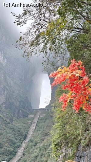 [P51]  -- <small>// FĂRĂ DESCRIERE</small> » foto by elenaadina
 - 
<span class="allrVoted glyphicon glyphicon-heart hidden" id="av1505651"></span>
<a class="m-l-10 hidden" id="sv1505651" onclick="voting_Foto_DelVot(,1505651,3501)" role="button">șterge vot <span class="glyphicon glyphicon-remove"></span></a>
<a id="v91505651" class=" c-red"  onclick="voting_Foto_SetVot(1505651)" role="button"><span class="glyphicon glyphicon-heart-empty"></span> <b>LIKE</b> = Votează poza</a> <img class="hidden"  id="f1505651W9" src="/imagini/loader.gif" border="0" /><span class="AjErrMes hidden" id="e1505651ErM"></span>