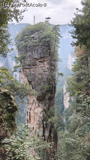 [P59] Hallelujah Mountain (Montana plutitoare din filmul Avatar) » foto by elenaadina
 - 
<span class="allrVoted glyphicon glyphicon-heart hidden" id="av1506548"></span>
<a class="m-l-10 hidden" id="sv1506548" onclick="voting_Foto_DelVot(,1506548,3501)" role="button">șterge vot <span class="glyphicon glyphicon-remove"></span></a>
<a id="v91506548" class=" c-red"  onclick="voting_Foto_SetVot(1506548)" role="button"><span class="glyphicon glyphicon-heart-empty"></span> <b>LIKE</b> = Votează poza</a> <img class="hidden"  id="f1506548W9" src="/imagini/loader.gif" border="0" /><span class="AjErrMes hidden" id="e1506548ErM"></span>