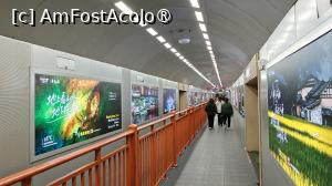 [P61] Bailong Elevator » foto by elenaadina
 - 
<span class="allrVoted glyphicon glyphicon-heart hidden" id="av1506550"></span>
<a class="m-l-10 hidden" id="sv1506550" onclick="voting_Foto_DelVot(,1506550,3501)" role="button">șterge vot <span class="glyphicon glyphicon-remove"></span></a>
<a id="v91506550" class=" c-red"  onclick="voting_Foto_SetVot(1506550)" role="button"><span class="glyphicon glyphicon-heart-empty"></span> <b>LIKE</b> = Votează poza</a> <img class="hidden"  id="f1506550W9" src="/imagini/loader.gif" border="0" /><span class="AjErrMes hidden" id="e1506550ErM"></span>