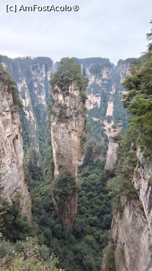 [P75] Hallelujah Mountain (Montana plutitoare din filmul Avatar) » foto by elenaadina
 - 
<span class="allrVoted glyphicon glyphicon-heart hidden" id="av1506564"></span>
<a class="m-l-10 hidden" id="sv1506564" onclick="voting_Foto_DelVot(,1506564,3501)" role="button">șterge vot <span class="glyphicon glyphicon-remove"></span></a>
<a id="v91506564" class=" c-red"  onclick="voting_Foto_SetVot(1506564)" role="button"><span class="glyphicon glyphicon-heart-empty"></span> <b>LIKE</b> = Votează poza</a> <img class="hidden"  id="f1506564W9" src="/imagini/loader.gif" border="0" /><span class="AjErrMes hidden" id="e1506564ErM"></span>