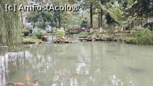 [P67]  -- <small>// FĂRĂ DESCRIERE</small> » foto by elenaadina
 - 
<span class="allrVoted glyphicon glyphicon-heart hidden" id="av1507113"></span>
<a class="m-l-10 hidden" id="sv1507113" onclick="voting_Foto_DelVot(,1507113,3501)" role="button">șterge vot <span class="glyphicon glyphicon-remove"></span></a>
<a id="v91507113" class=" c-red"  onclick="voting_Foto_SetVot(1507113)" role="button"><span class="glyphicon glyphicon-heart-empty"></span> <b>LIKE</b> = Votează poza</a> <img class="hidden"  id="f1507113W9" src="/imagini/loader.gif" border="0" /><span class="AjErrMes hidden" id="e1507113ErM"></span>