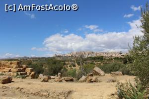 [P06] Orasul Agrigento » foto by giuliani
 - 
<span class="allrVoted glyphicon glyphicon-heart hidden" id="av792180"></span>
<a class="m-l-10 hidden" id="sv792180" onclick="voting_Foto_DelVot(,792180,3503)" role="button">șterge vot <span class="glyphicon glyphicon-remove"></span></a>
<a id="v9792180" class=" c-red"  onclick="voting_Foto_SetVot(792180)" role="button"><span class="glyphicon glyphicon-heart-empty"></span> <b>LIKE</b> = Votează poza</a> <img class="hidden"  id="f792180W9" src="/imagini/loader.gif" border="0" /><span class="AjErrMes hidden" id="e792180ErM"></span>