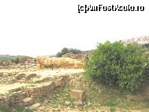 [P05] Valea Templelor-gigant zacand in templul lui Jupiter. » foto by Michi
 - 
<span class="allrVoted glyphicon glyphicon-heart hidden" id="av65644"></span>
<a class="m-l-10 hidden" id="sv65644" onclick="voting_Foto_DelVot(,65644,3503)" role="button">șterge vot <span class="glyphicon glyphicon-remove"></span></a>
<a id="v965644" class=" c-red"  onclick="voting_Foto_SetVot(65644)" role="button"><span class="glyphicon glyphicon-heart-empty"></span> <b>LIKE</b> = Votează poza</a> <img class="hidden"  id="f65644W9" src="/imagini/loader.gif" border="0" /><span class="AjErrMes hidden" id="e65644ErM"></span>
