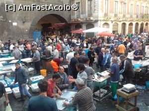 [P08] Piata de peste in Catania » foto by Elissa
 - 
<span class="allrVoted glyphicon glyphicon-heart hidden" id="av940998"></span>
<a class="m-l-10 hidden" id="sv940998" onclick="voting_Foto_DelVot(,940998,3509)" role="button">șterge vot <span class="glyphicon glyphicon-remove"></span></a>
<a id="v9940998" class=" c-red"  onclick="voting_Foto_SetVot(940998)" role="button"><span class="glyphicon glyphicon-heart-empty"></span> <b>LIKE</b> = Votează poza</a> <img class="hidden"  id="f940998W9" src="/imagini/loader.gif" border="0" /><span class="AjErrMes hidden" id="e940998ErM"></span>