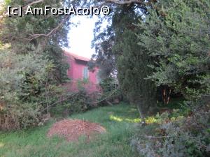[P08] O casa pustie, ascunsa de vegetatie.  » foto by bica adriana
 - 
<span class="allrVoted glyphicon glyphicon-heart hidden" id="av919102"></span>
<a class="m-l-10 hidden" id="sv919102" onclick="voting_Foto_DelVot(,919102,3509)" role="button">șterge vot <span class="glyphicon glyphicon-remove"></span></a>
<a id="v9919102" class=" c-red"  onclick="voting_Foto_SetVot(919102)" role="button"><span class="glyphicon glyphicon-heart-empty"></span> <b>LIKE</b> = Votează poza</a> <img class="hidden"  id="f919102W9" src="/imagini/loader.gif" border="0" /><span class="AjErrMes hidden" id="e919102ErM"></span>