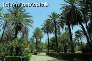 [P24] Un parc din Palermo » foto by DanSta
 - 
<span class="allrVoted glyphicon glyphicon-heart hidden" id="av1236522"></span>
<a class="m-l-10 hidden" id="sv1236522" onclick="voting_Foto_DelVot(,1236522,3509)" role="button">șterge vot <span class="glyphicon glyphicon-remove"></span></a>
<a id="v91236522" class=" c-red"  onclick="voting_Foto_SetVot(1236522)" role="button"><span class="glyphicon glyphicon-heart-empty"></span> <b>LIKE</b> = Votează poza</a> <img class="hidden"  id="f1236522W9" src="/imagini/loader.gif" border="0" /><span class="AjErrMes hidden" id="e1236522ErM"></span>
