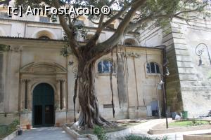 [P11] Ragusa (de sus)  » foto by tasse
 - 
<span class="allrVoted glyphicon glyphicon-heart hidden" id="av1002144"></span>
<a class="m-l-10 hidden" id="sv1002144" onclick="voting_Foto_DelVot(,1002144,3509)" role="button">șterge vot <span class="glyphicon glyphicon-remove"></span></a>
<a id="v91002144" class=" c-red"  onclick="voting_Foto_SetVot(1002144)" role="button"><span class="glyphicon glyphicon-heart-empty"></span> <b>LIKE</b> = Votează poza</a> <img class="hidden"  id="f1002144W9" src="/imagini/loader.gif" border="0" /><span class="AjErrMes hidden" id="e1002144ErM"></span>